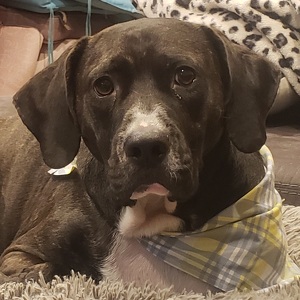 Fundraising Page: Matteo Di Florio